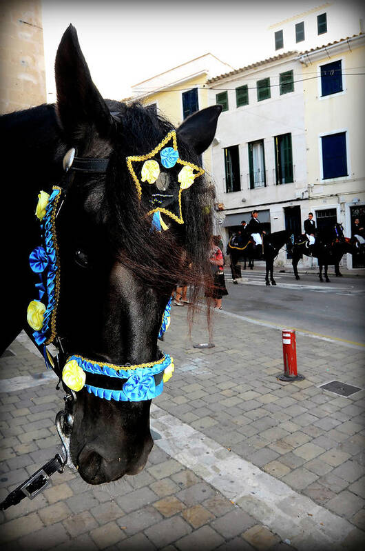 Horse Poster featuring the photograph Menorca Horse 1 by Pedro Cardona Llambias