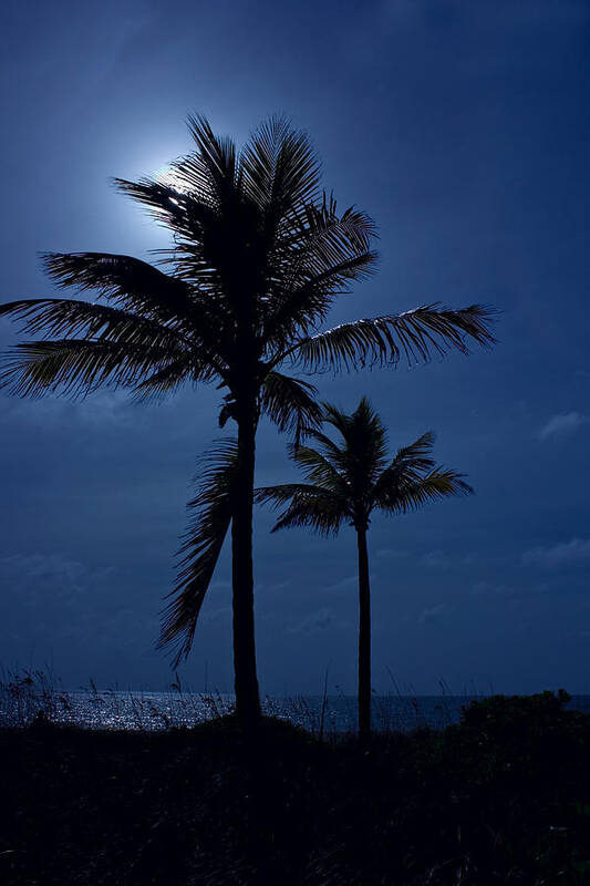 Moon Poster featuring the photograph Moonlight Feels Right by Mark Andrew Thomas