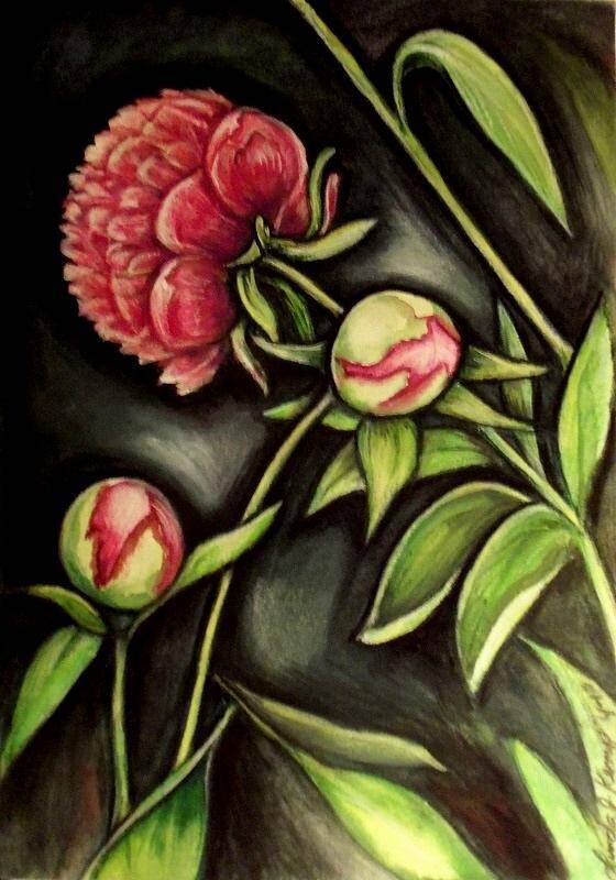 Floral Poster featuring the painting Moonlit Peonies by Linda Nielsen