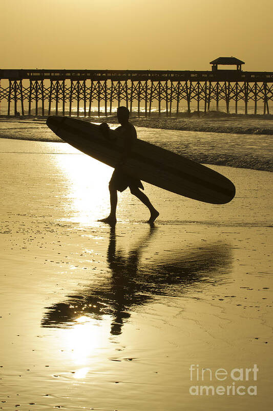 Morning Session Longboard Surfing Folly Beach SC Poster by Dustin K Ryan  Fine Art America