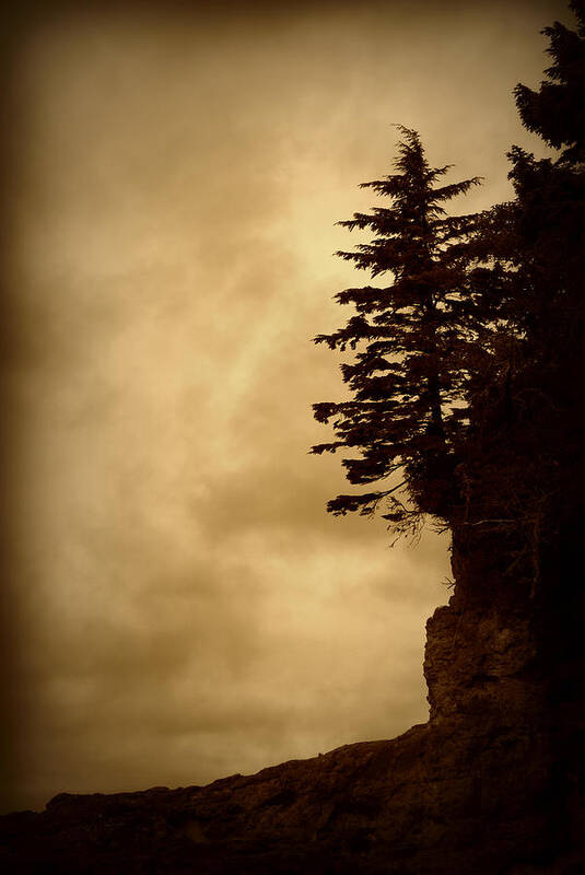 Tree Poster featuring the photograph On the Edge of the Bluff by Marilyn Wilson