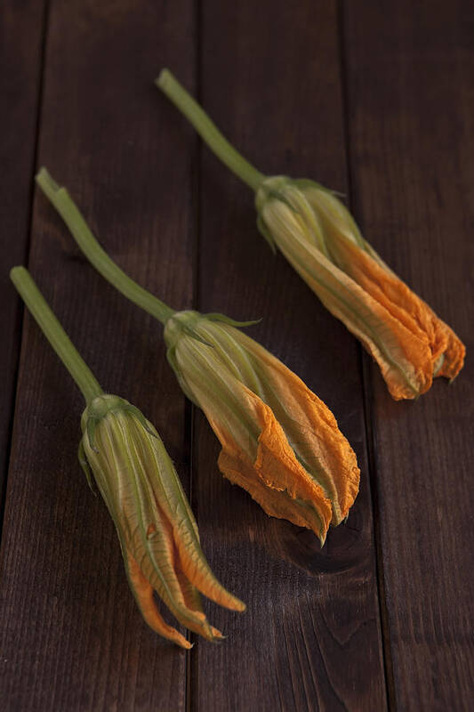 Squash Blossoms Poster featuring the photograph Pumpkin Blossoms by Joana Kruse