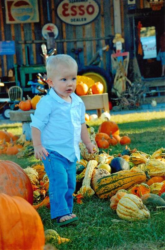 Pumpkin Poster featuring the photograph Pumpkin by Phil Burton