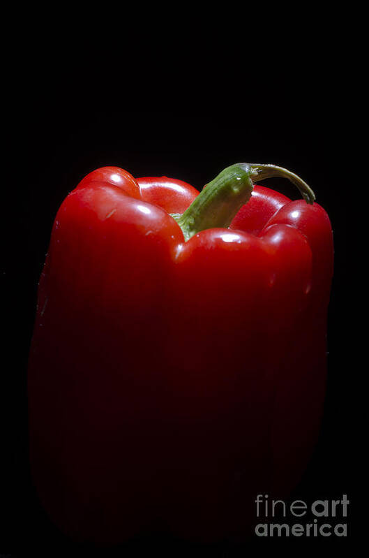 Paprika Poster featuring the photograph Red Bell Pepper Paprika by Andre Babiak
