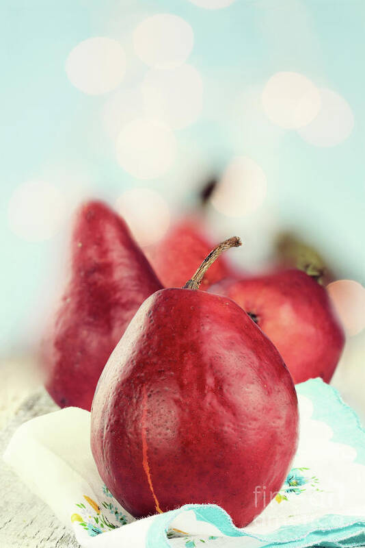 Autumn Poster featuring the photograph Red Pears by Stephanie Frey