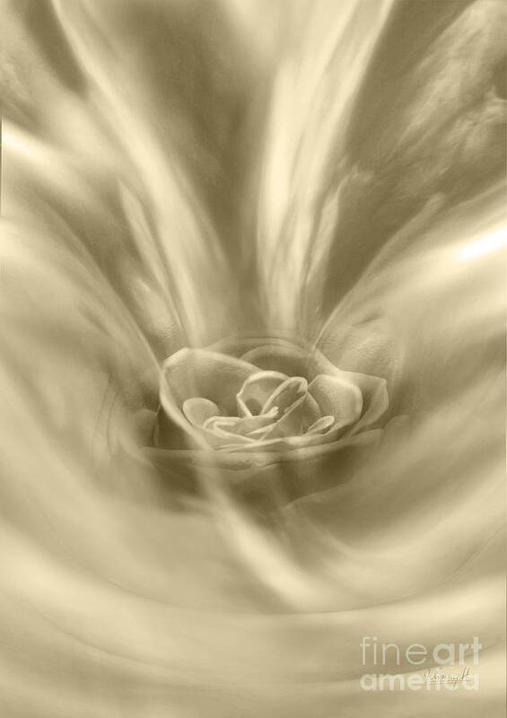 Abstract Poster featuring the digital art Rose from a dream by Johnny Hildingsson