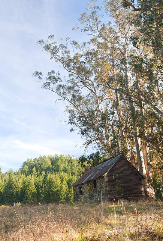 Barn Poster featuring the photograph Run-down Barn in Field by Matt Tilghman