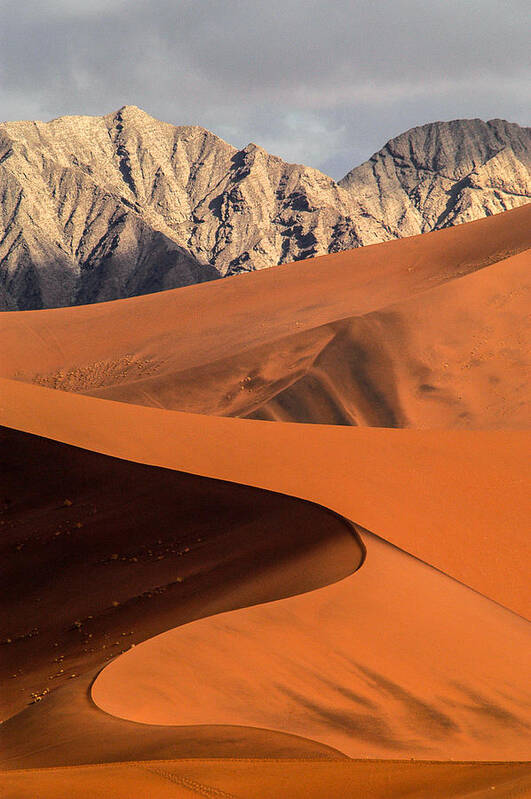 Africa Poster featuring the photograph Sand and stone by Alistair Lyne