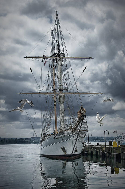 Art Poster featuring the photograph Schooner in Halifax Harbor by Randall Nyhof