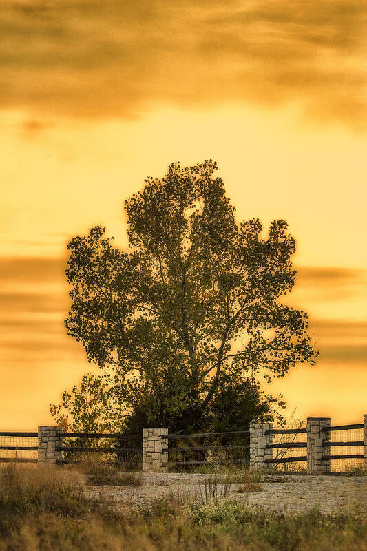 Klondike Park Poster featuring the photograph Soaking Up A Sunset Glow by Bill and Linda Tiepelman