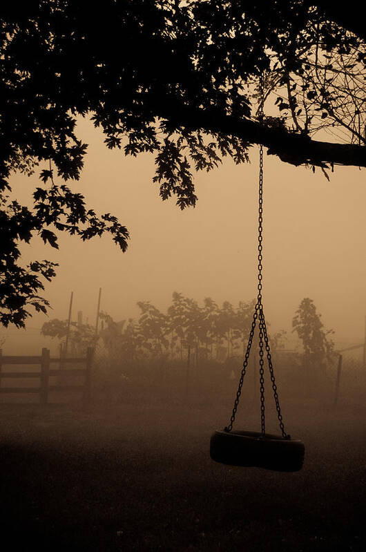 Landscape Poster featuring the photograph Swing in the fog by Cheryl Baxter