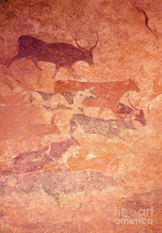 Art Poster featuring the photograph Tassili Rock Paintings by Photo Researchers