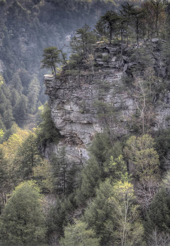 Fall Creek Falls Poster featuring the photograph The Cliff by David Troxel