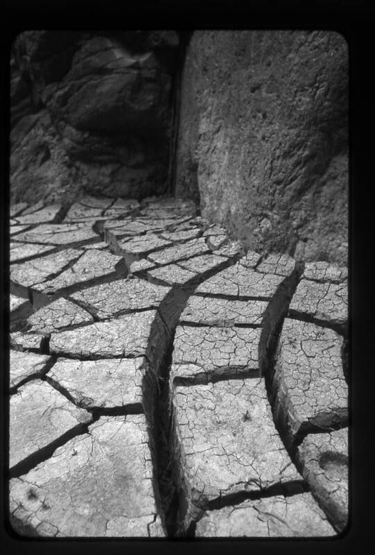 Big Bend National Park Photographs Poster featuring the photograph The Dry Season by Greg Kopriva