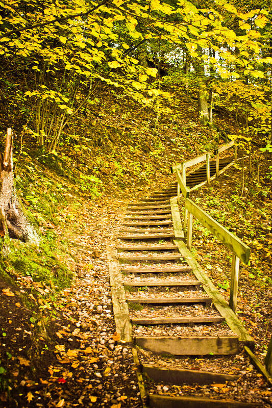 Autumn Poster featuring the photograph The Journey Begins by Sara Frank