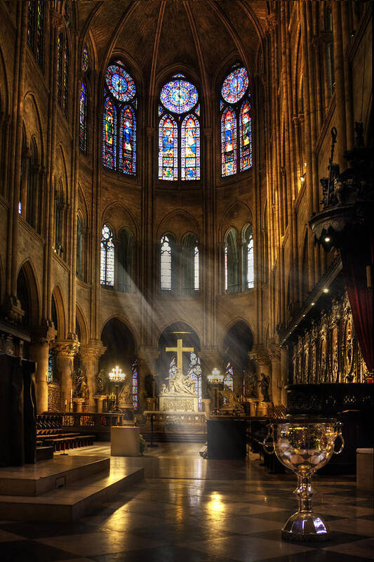 Notre Dame Poster featuring the photograph Touched By The Light by Yelena Rozov