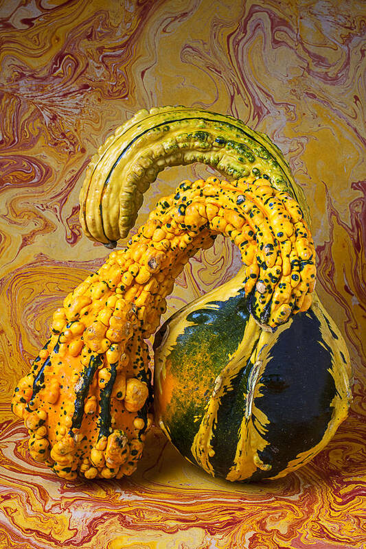 Two Green Poster featuring the photograph Two Gourds by Garry Gay