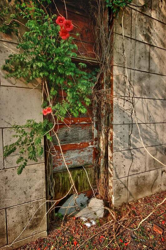 Alabama Photographer Poster featuring the digital art Vine Covered Door by Michael Thomas