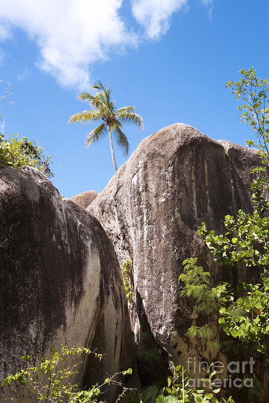 Virgin Gorda Poster featuring the photograph Virgin Gorda by Leslie Leda