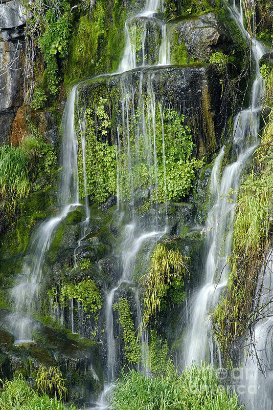 Waterfall Poster featuring the photograph Waterfall at Columbia River Washington by Ted J Clutter and Photo Researchers
