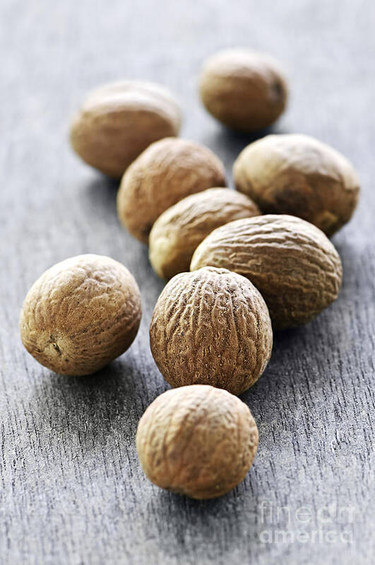 Nutmeg Poster featuring the photograph Spices 7 - Nutmeg by Elena Elisseeva