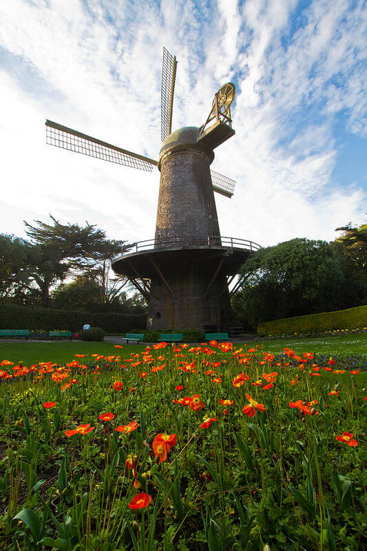 Golden Gate Park Poster featuring the photograph Windmill and Poppies by Roger Mullenhour