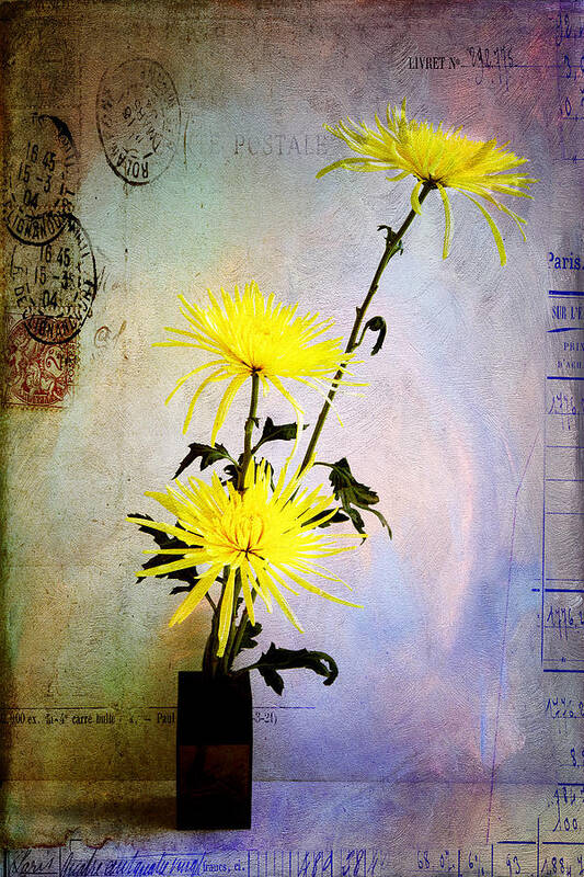 Flowers Poster featuring the photograph Yellow 313 by James Bethanis