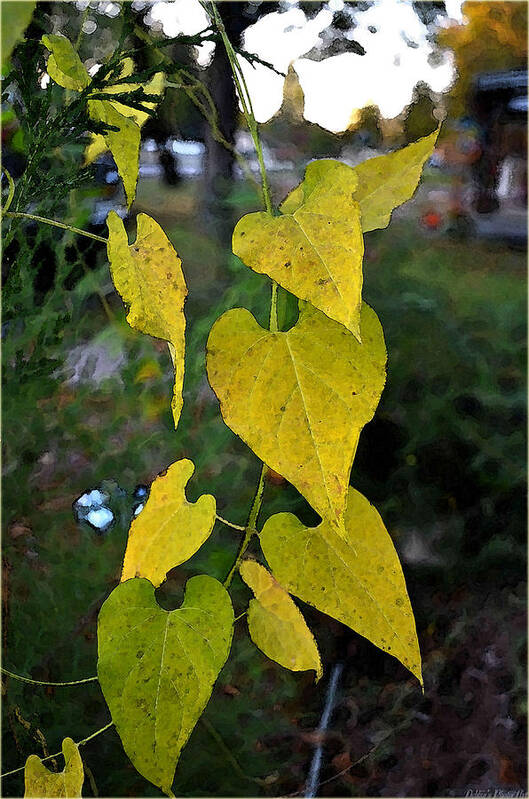 Leaves Poster featuring the photograph Yellow heart leaves photoart II by Debbie Portwood