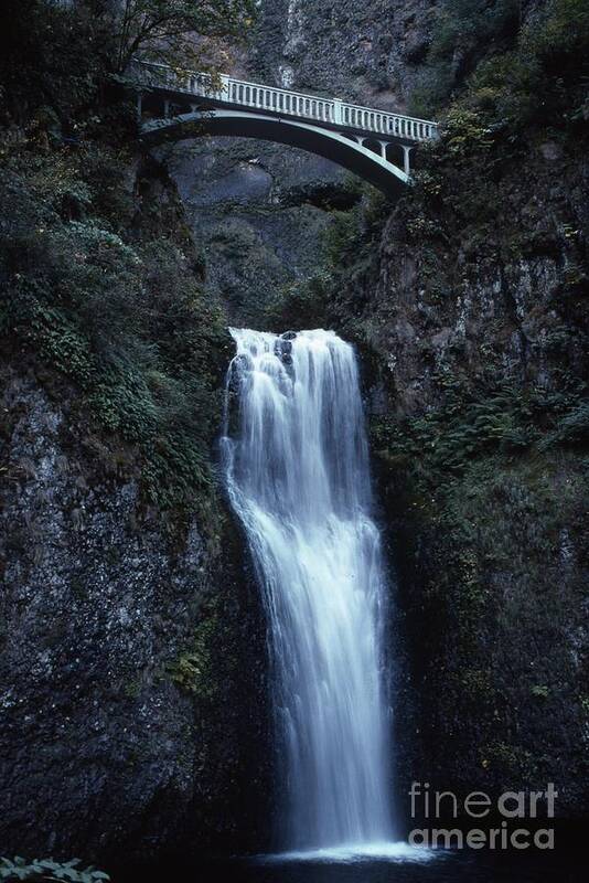 Lower Multnomah Falls Poster featuring the photograph Multnomah Falls by Edward R Wisell