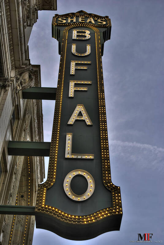 Buffalo Poster featuring the photograph 01 Sheas Buffalo by Michael Frank Jr