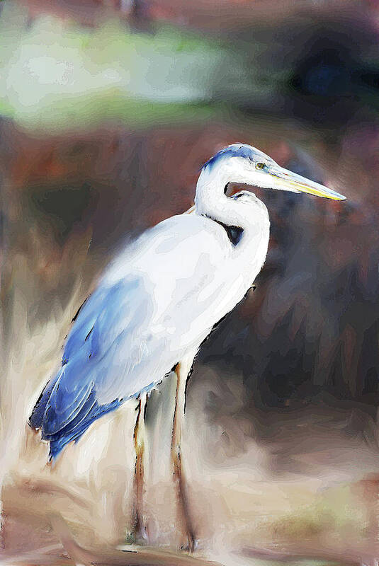 Blue Heron Painting Poster featuring the digital art Blue Heron Painting #1 by Don Wright