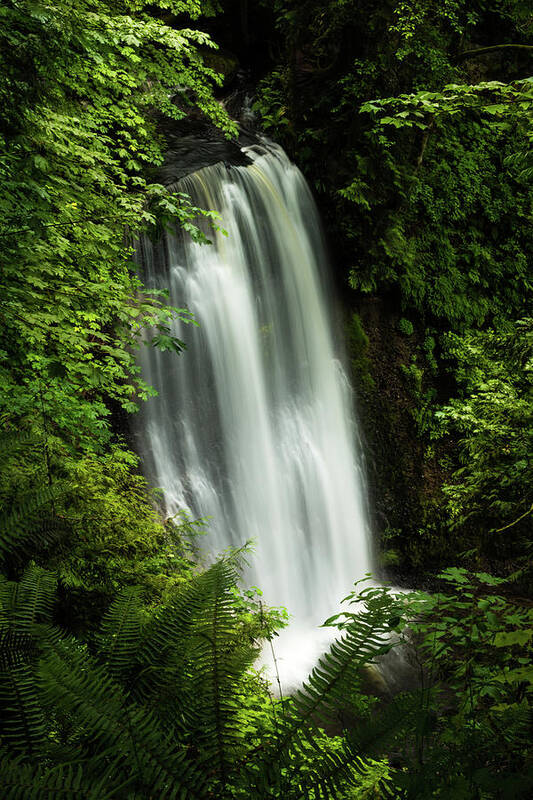 Waterfall Poster featuring the photograph Forest Waterfall #1 by Chris McKenna
