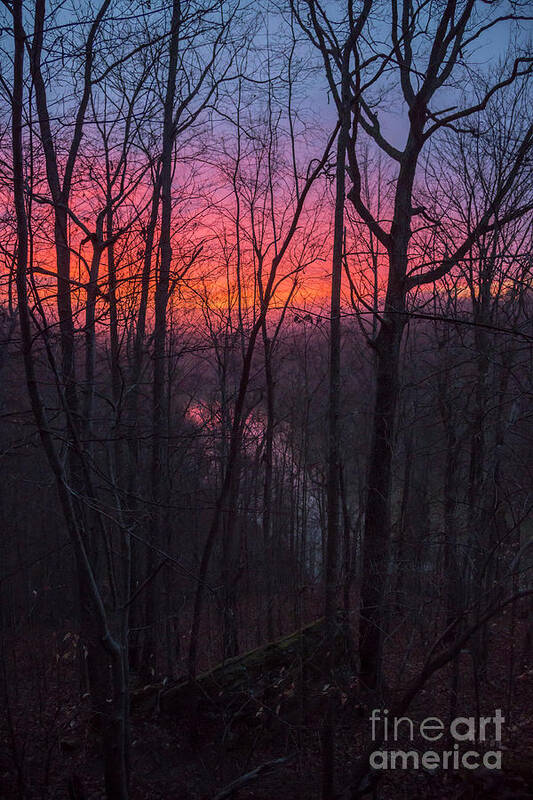 Sun Poster featuring the photograph Kentucky Sunrise #1 by Jim West