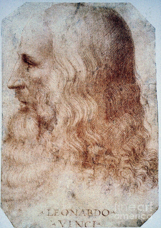 16th Century Poster featuring the photograph Leonardo Da Vinci #1 by Granger