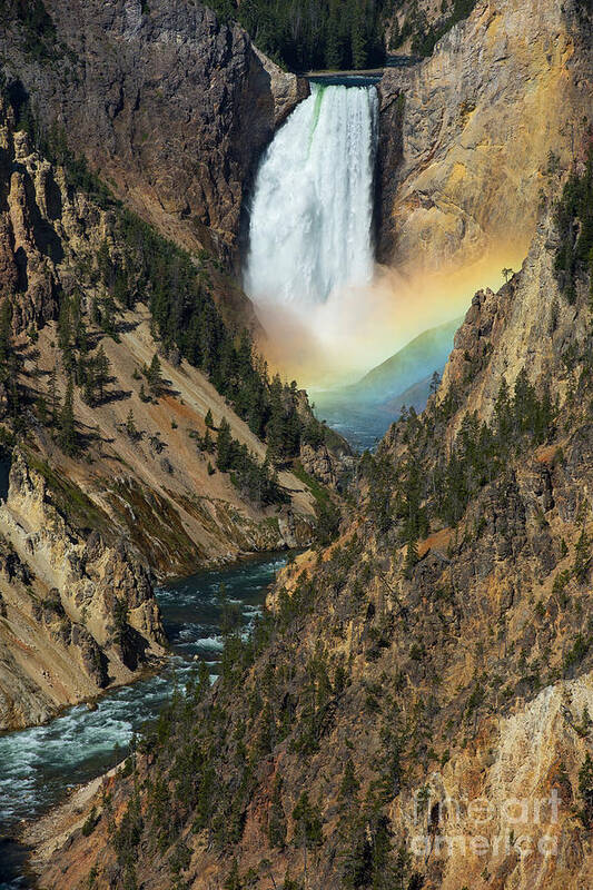 Waterfall Poster featuring the photograph Lower Falls Rainbow #1 by Brad Schwarm