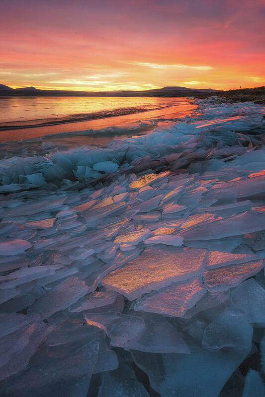 Antelope Island Poster featuring the photograph Pink Ice #1 by Ryan Moyer