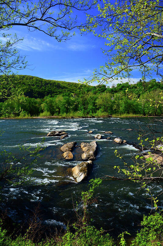 Potomac River Rapids Poster featuring the photograph Potomac River Rapids #2 by Raymond Salani III