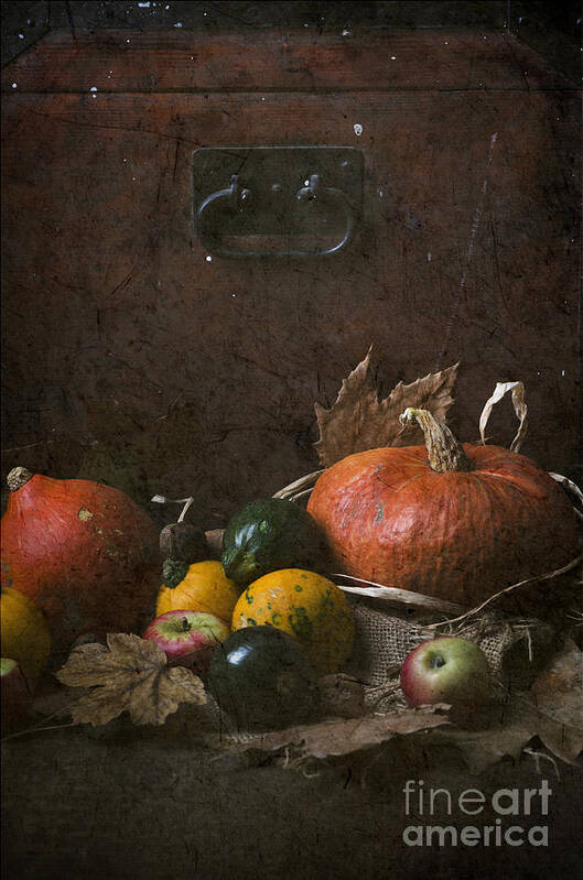 Pumpkin Poster featuring the photograph Pumpkins #3 by Jelena Jovanovic
