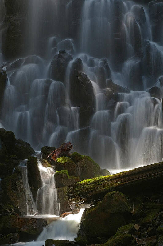 Oregon Poster featuring the photograph Ramona Falls Oregon #1 by Ulrich Burkhalter