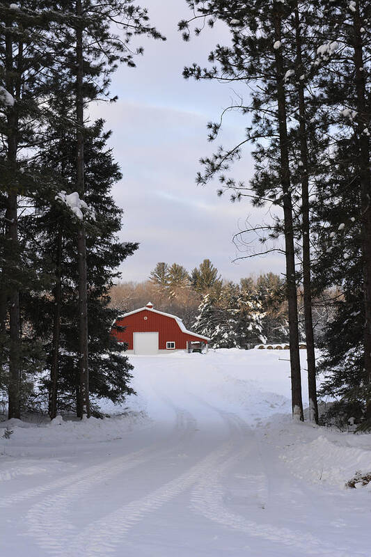 Winter Sunrise Poster featuring the photograph Red Barn in Winter #1 by Forest Floor Photography