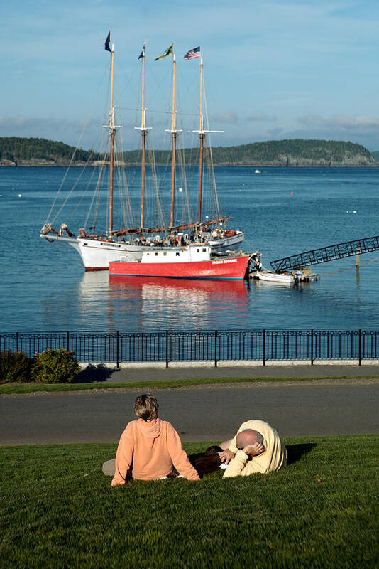 Lawrence Poster featuring the photograph Relaxing On The Coast #1 by Lawrence Boothby