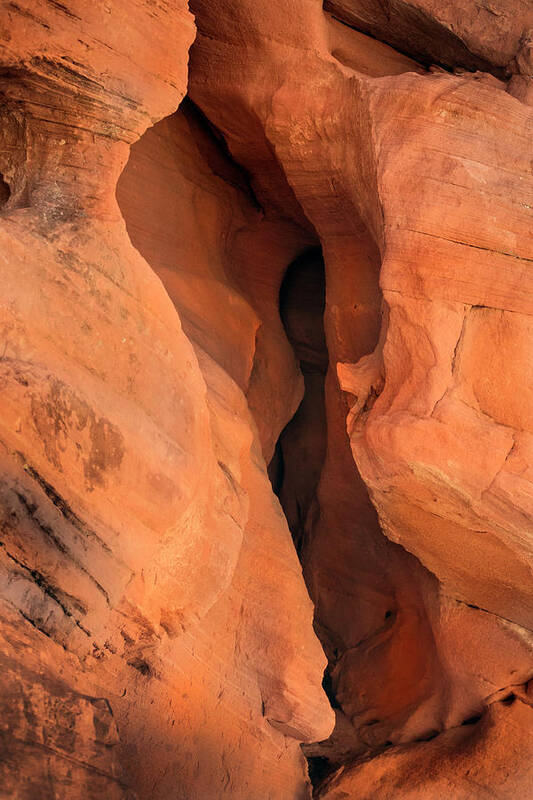 Landscape Poster featuring the photograph Slot Cave Valley Of Fire #1 by Frank Wilson
