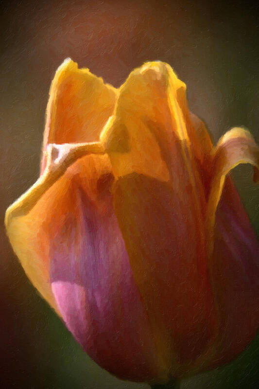 Tulip Poster featuring the painting Tulip #1 by Prince Andre Faubert