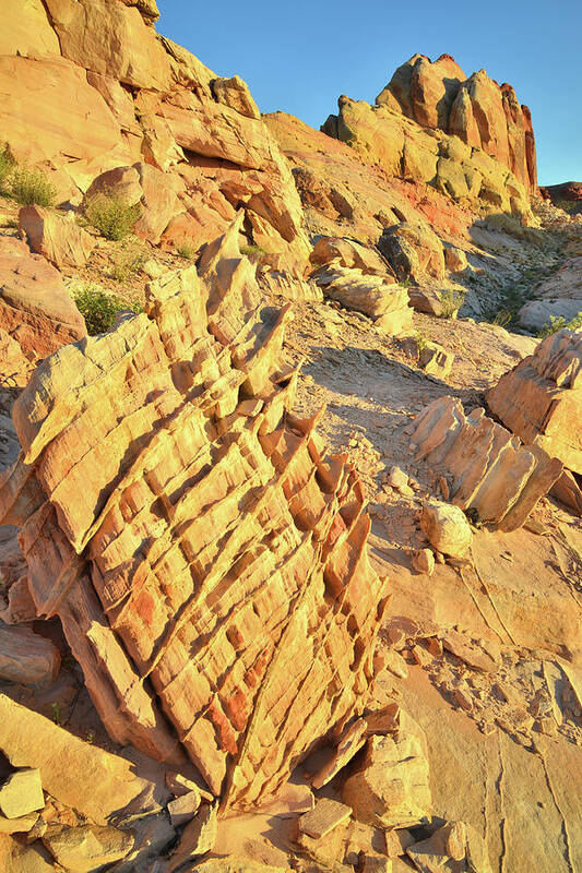Valley Of Fire State Park Poster featuring the photograph Morning at Valley of Fire #6 by Ray Mathis