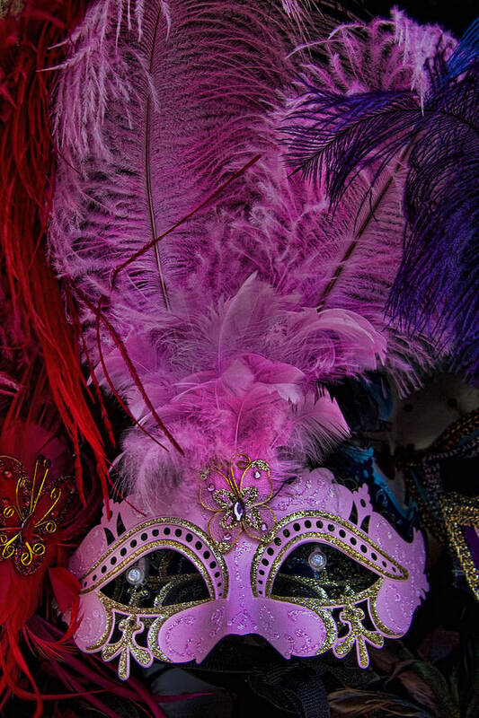 Venetian Poster featuring the photograph Venetian Carnaval Mask #13 by David Smith