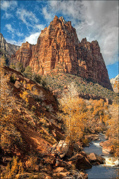 Zion National Park; Virgin River; Utah; Desert; Ut; Southwest; Southwestern; Landscape; Canyon; Court Of The Patriarchs; Formation; Geology; Geological; Formations; Sandstone; Cliff; Cliffs; Rocks; Rocky; Stone; Butte; Buttes; Mesa; Mesas; Towering; Vertical; Rugged; Isolated; Wilderness; Slickrock; Tourism; Tourist; Travel; Scenery; Scenic; Cottonwood; Trees; Cottonwoods Poster featuring the photograph Zion National Park #16 by Douglas Pulsipher