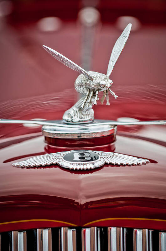 1934 Bentley 3.5-litre Drophead Coupe Poster featuring the photograph 1934 Bentley 3.5-Litre Drophead Coupe Hood Ornament by Jill Reger
