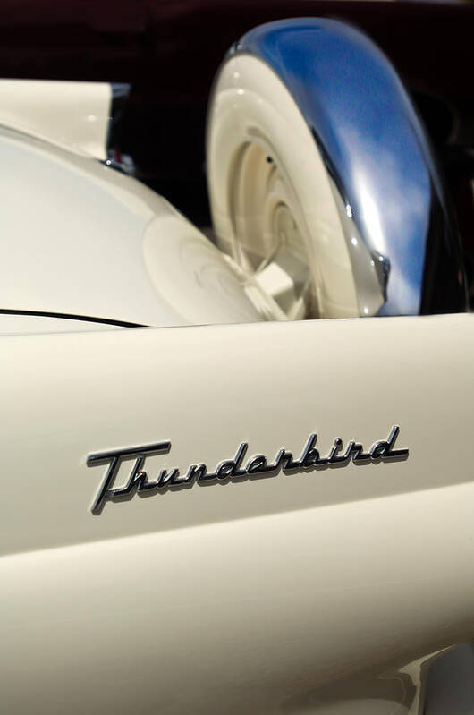 Car Poster featuring the photograph 1956 Ford Thunderbird Spare Tire by Jill Reger