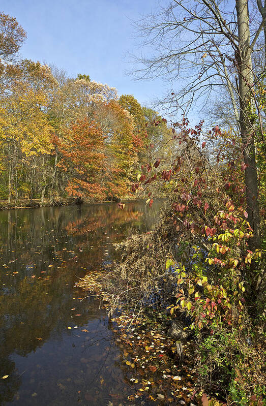 Autumn Poster featuring the photograph Autumn Colors on the Canal #2 by David Letts