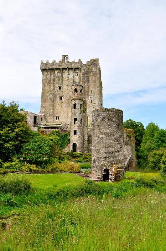 Ireland Poster featuring the photograph Blarney Castle #2 by Sue Morris